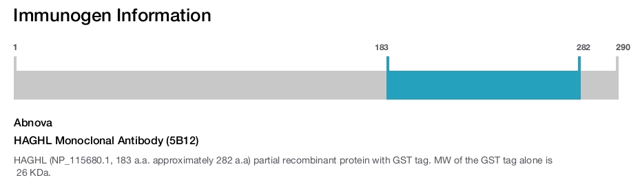 HAGHL Monoclonal Antibody (5B12)