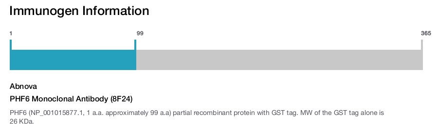 PHF6 Monoclonal Antibody (8F24)