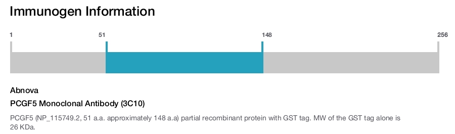 PCGF5 Monoclonal Antibody (3C10)