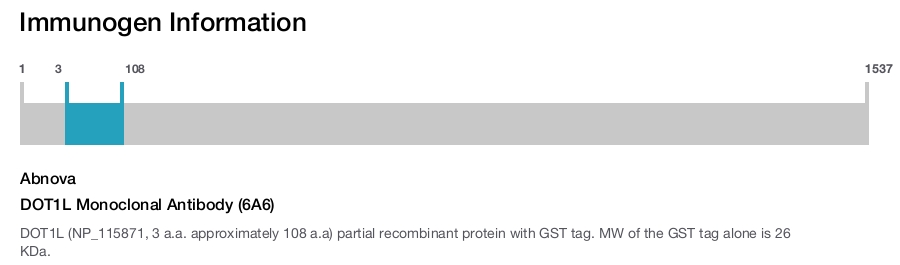 DOT1L Monoclonal Antibody (6A6)