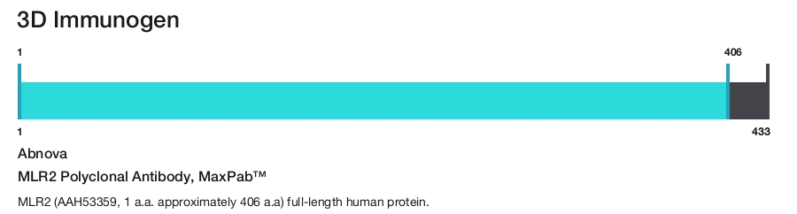 MLR2 Polyclonal Antibody, MaxPab&trade;