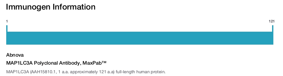 MAP1LC3A Polyclonal Antibody, MaxPab™