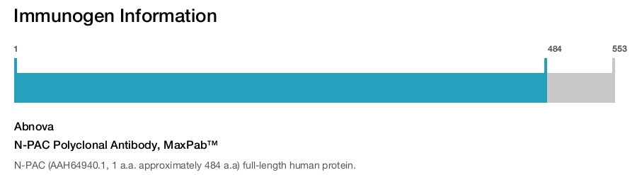 N-PAC Polyclonal Antibody, MaxPab™