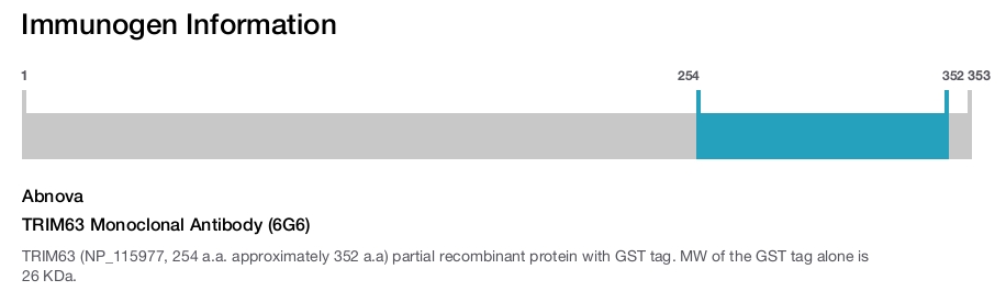 TRIM63 Monoclonal Antibody (6G6)