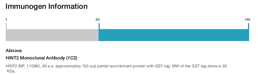 HINT2 Monoclonal Antibody (1C2)