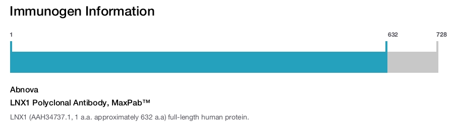 LNX1 Polyclonal Antibody, MaxPab™