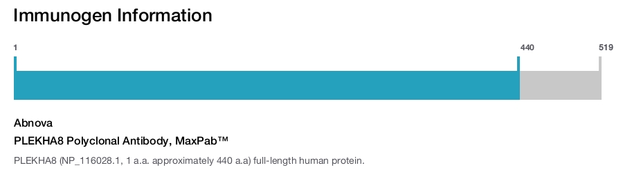 PLEKHA8 Polyclonal Antibody, MaxPab™