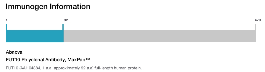 FUT10 Polyclonal Antibody, MaxPab™