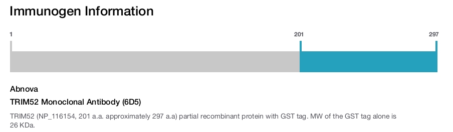TRIM52 Monoclonal Antibody (6D5)