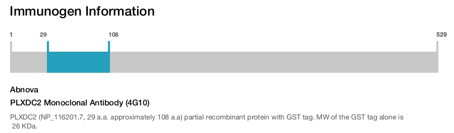 PLXDC2 Monoclonal Antibody (4G10)