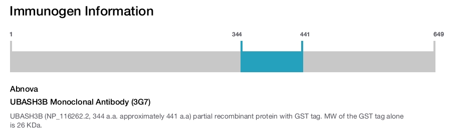UBASH3B Monoclonal Antibody (3G7)