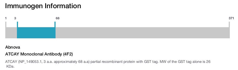 ATCAY Monoclonal Antibody (4F2)