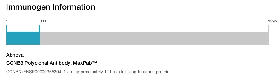 CCNB3 Polyclonal Antibody, MaxPab™