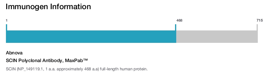 SCIN Polyclonal Antibody, MaxPab™