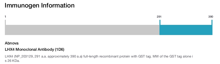 LHX4 Monoclonal Antibody (1D6)