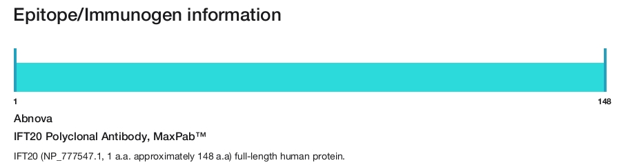 IFT20 Polyclonal Antibody, MaxPab&trade;