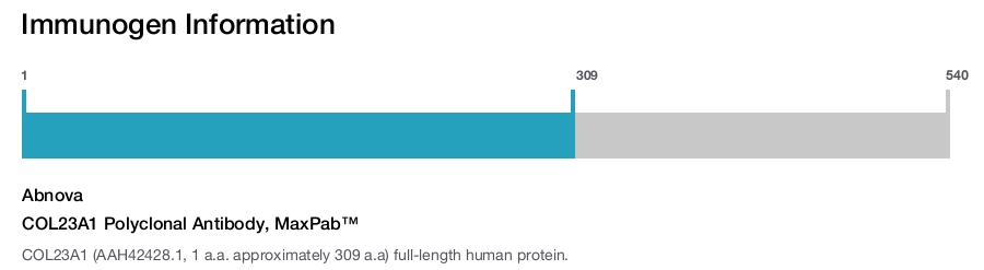 COL23A1 Polyclonal Antibody, MaxPab™