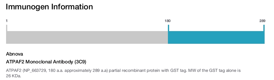 ATPAF2 Monoclonal Antibody (3C9)