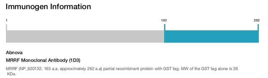 MRRF Monoclonal Antibody (1D3)