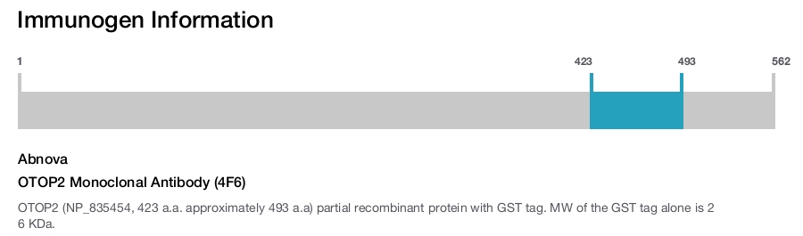 OTOP2 Monoclonal Antibody (4F6)