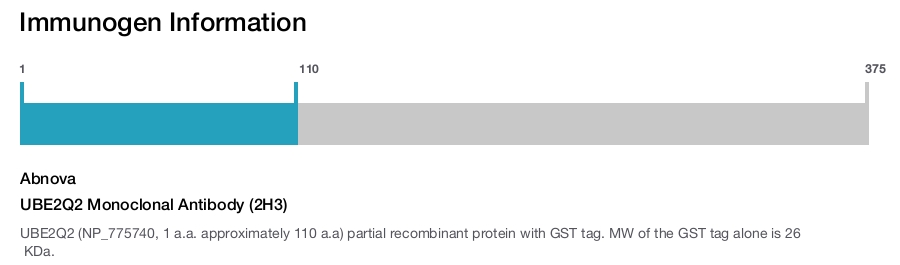 UBE2Q2 Monoclonal Antibody (2H3)