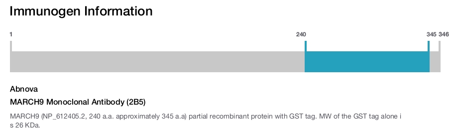 MARCH9 Monoclonal Antibody (2B5)
