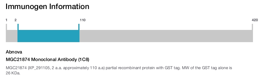 MGC21874 Monoclonal Antibody (1C8)