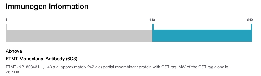 FTMT Monoclonal Antibody (6G3)