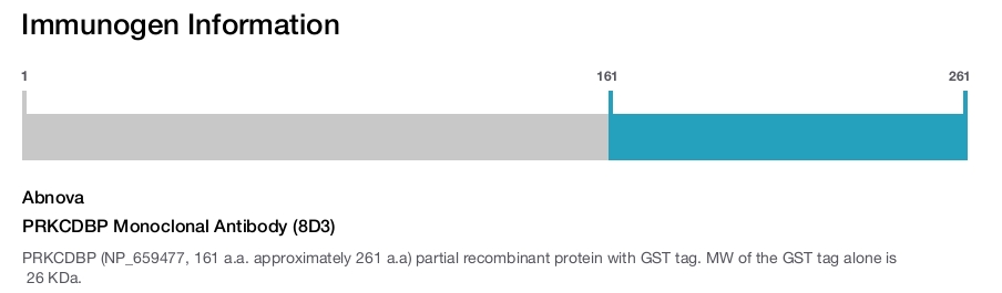 PRKCDBP Monoclonal Antibody (8D3)