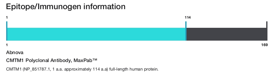 CMTM1 Polyclonal Antibody, MaxPab&trade;