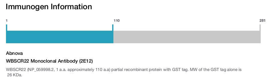WBSCR22 Monoclonal Antibody (2E12)