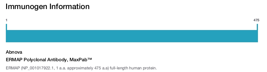 ERMAP Polyclonal Antibody, MaxPab™