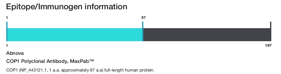 COP1 Polyclonal Antibody, MaxPab&trade;