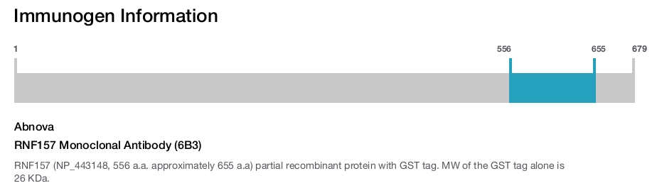 RNF157 Monoclonal Antibody (6B3)