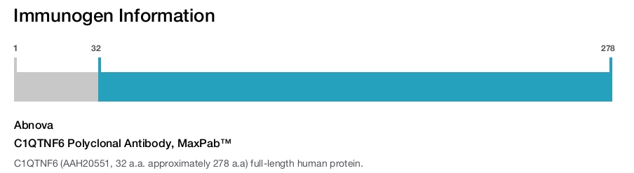 C1QTNF6 Polyclonal Antibody, MaxPab™