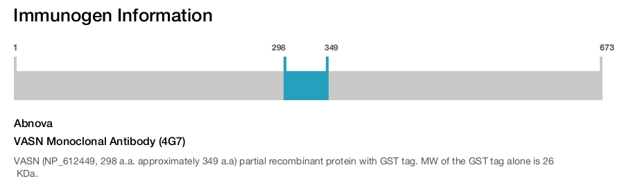 VASN Monoclonal Antibody (4G7)
