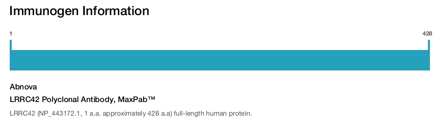 LRRC42 Polyclonal Antibody, MaxPab™
