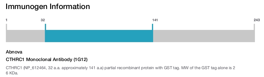 CTHRC1 Monoclonal Antibody (1G12)