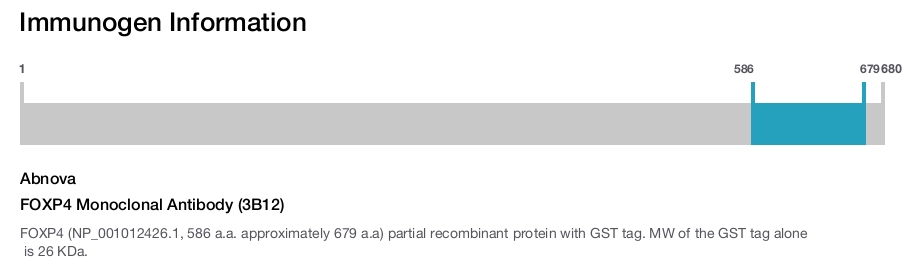 FOXP4 Monoclonal Antibody (3B12)