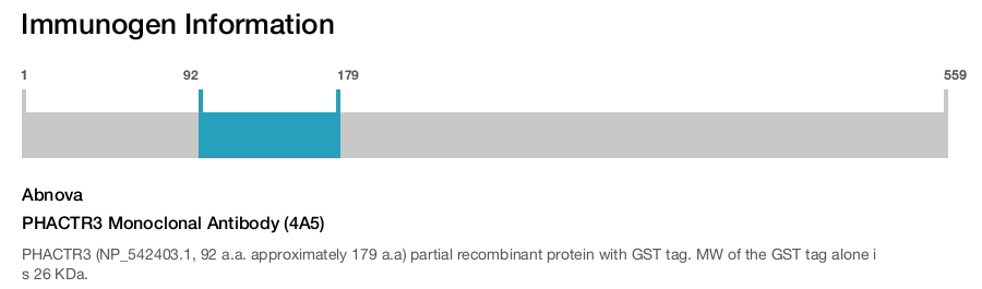 PHACTR3 Monoclonal Antibody (4A5)