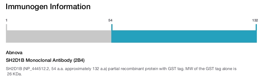 SH2D1B Monoclonal Antibody (2B4)