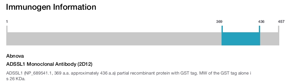 ADSSL1 Monoclonal Antibody (2D12)