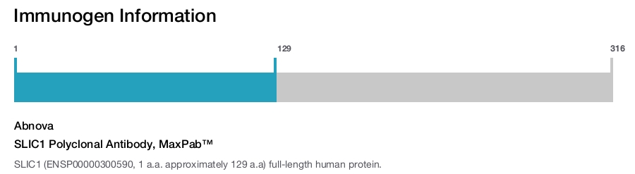 SLIC1 Polyclonal Antibody, MaxPab™