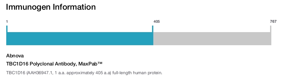 TBC1D16 Polyclonal Antibody, MaxPab™