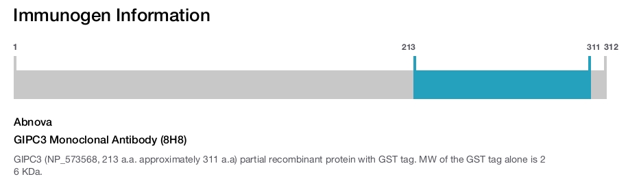 GIPC3 Monoclonal Antibody (8H8)