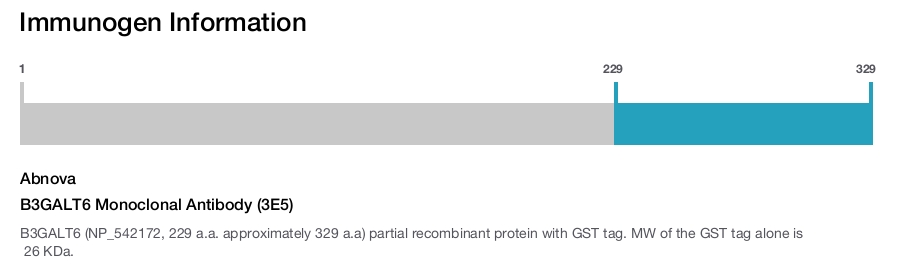 B3GALT6 Monoclonal Antibody (3E5)