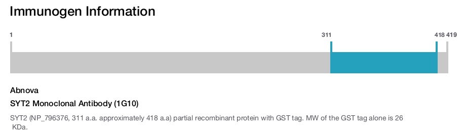 SYT2 Monoclonal Antibody (1G10)