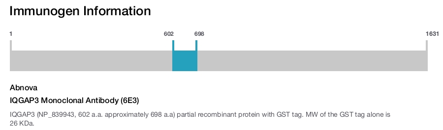 IQGAP3 Monoclonal Antibody (6E3)