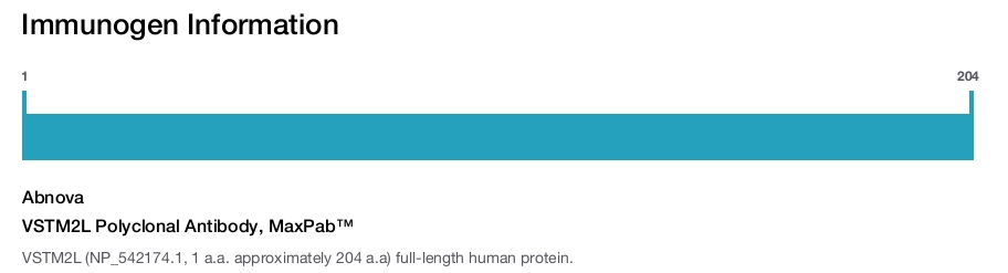 VSTM2L Polyclonal Antibody, MaxPab™