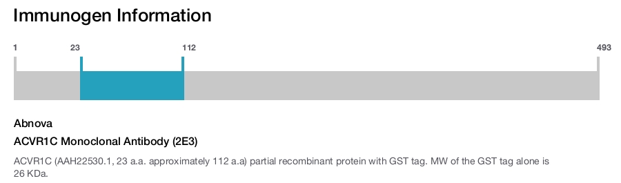 ACVR1C Monoclonal Antibody (2E3)